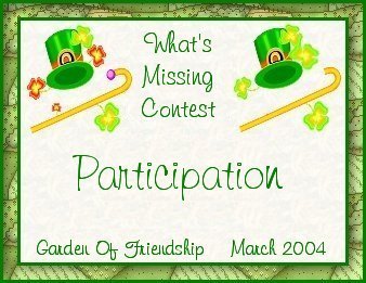 What's Missing Participation