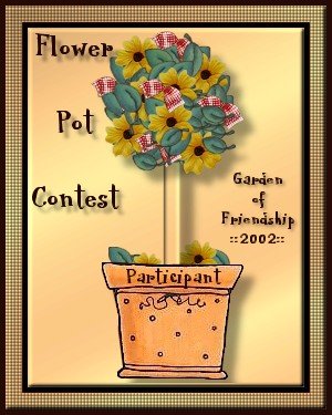 flower pot contest participation award