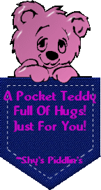 Pocket Teddy