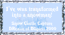 snow castle capture