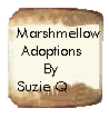 Adoptions by Suzie Q