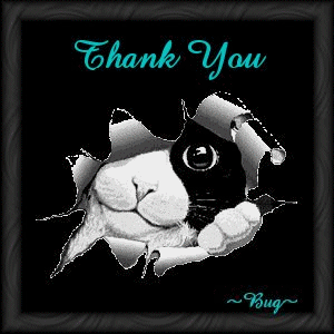 thank you from bug