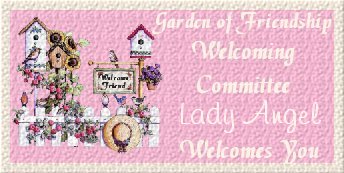 lady angel welcome