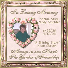 In Loving Memory of Lady Starlite