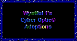 Cyber Optic Adoptions