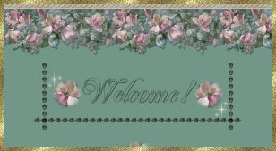 Top Border Welcome 1
