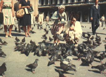 st.mark's square