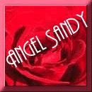 square 23, angel sandy