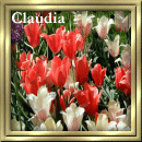 Claudia