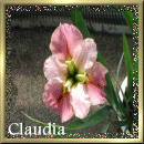 Claudia