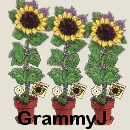 Grammy J