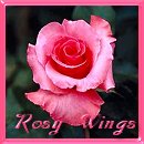 square 80, Rosy Wings