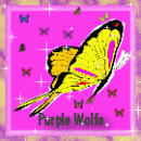 square 30, Purple Wolfe
